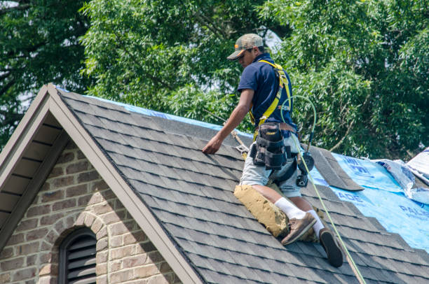 Best Shingle Roofing Installation  in Fairmont, NC